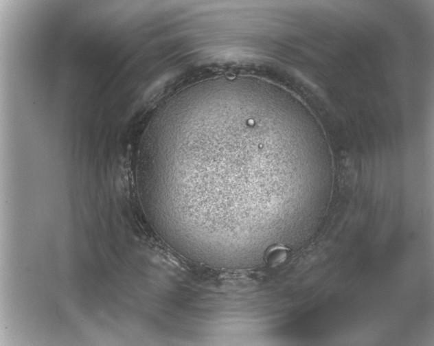 X0000065970918200603031124