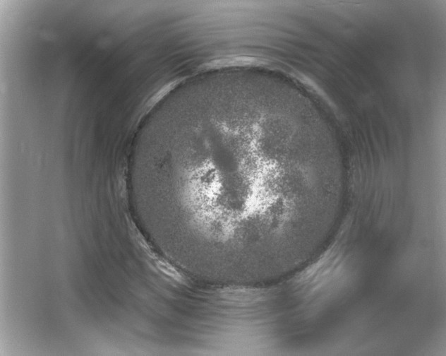 X0000065970921200603031124