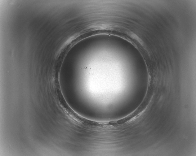 X0000065970922200603031124