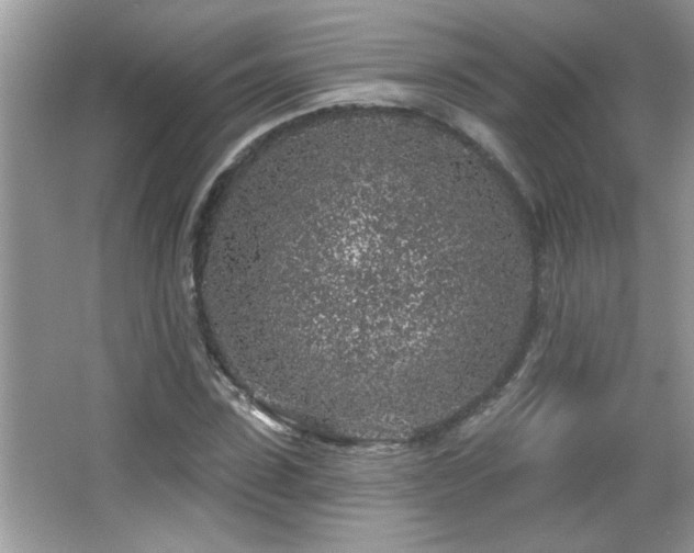 X0000065970923200603031124