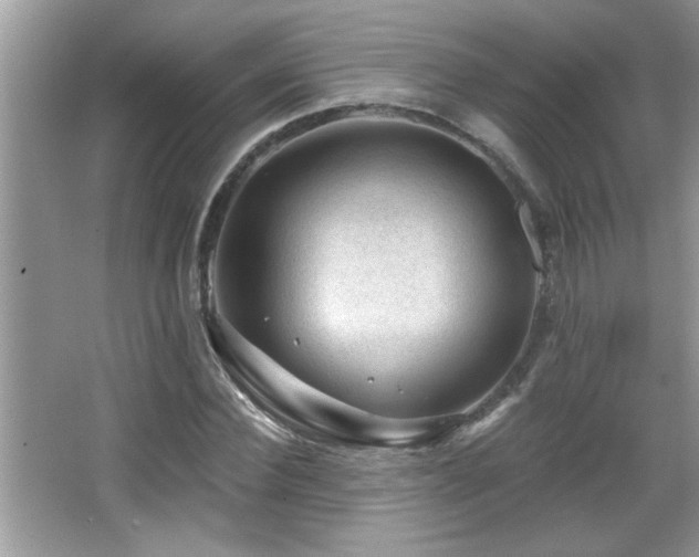 X0000065970924200603031124