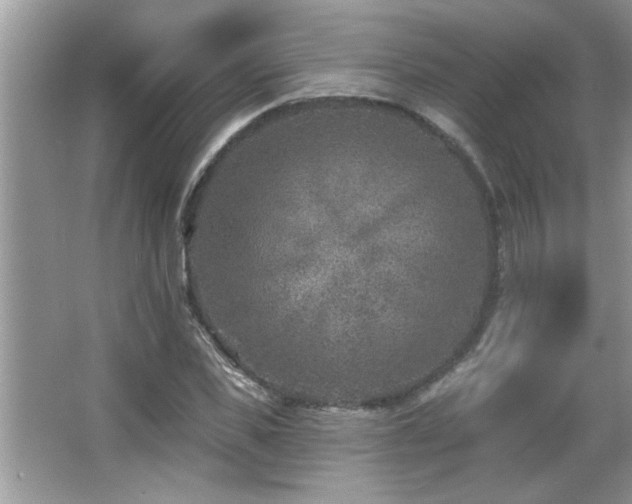 X0000065970925200603031125