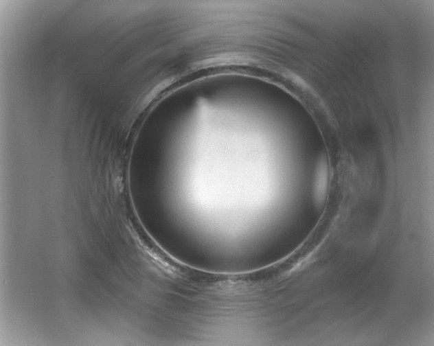 X0000065970929200603031125