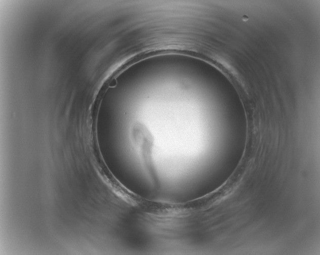 X0000065970933200603031125