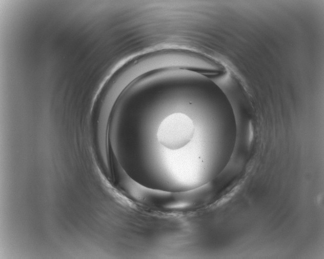 X0000065970934200603031125