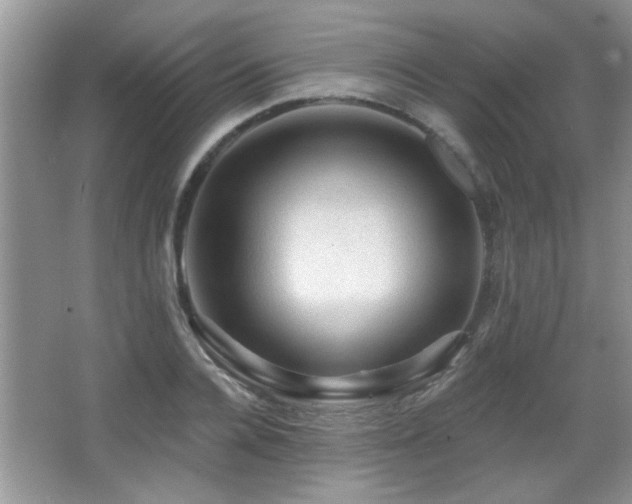 X0000065970936200603031125