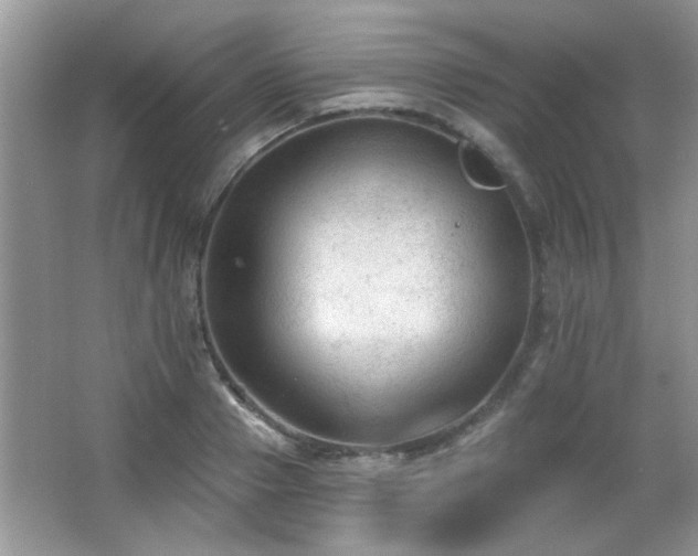 X0000065970937200603031125