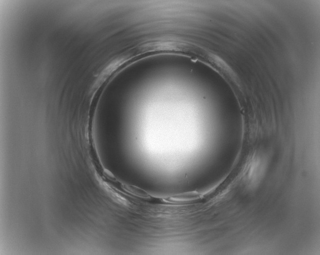 X0000065970938200603031125