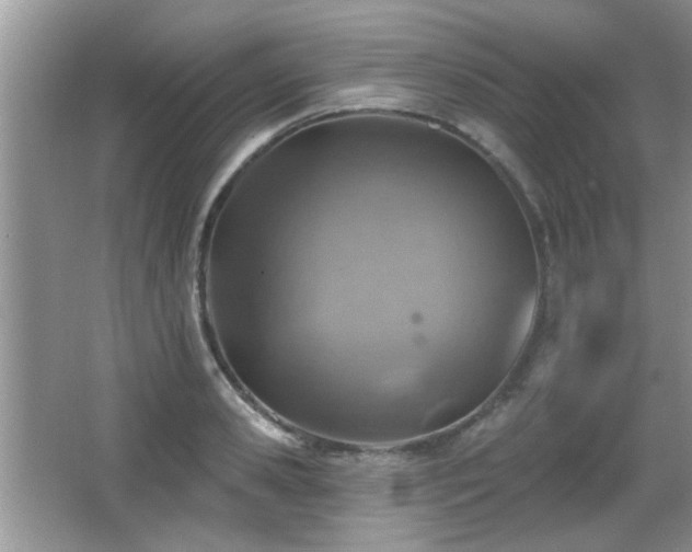 X0000065970941200603031125