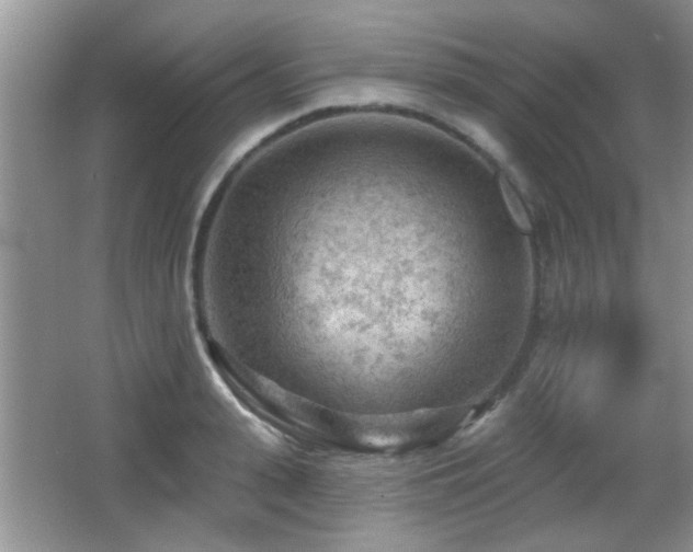 X0000065970943200603031125