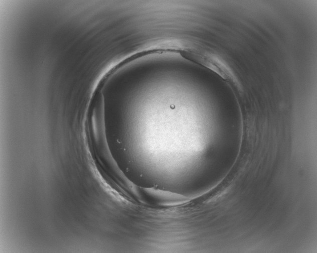 X0000065970944200603031125