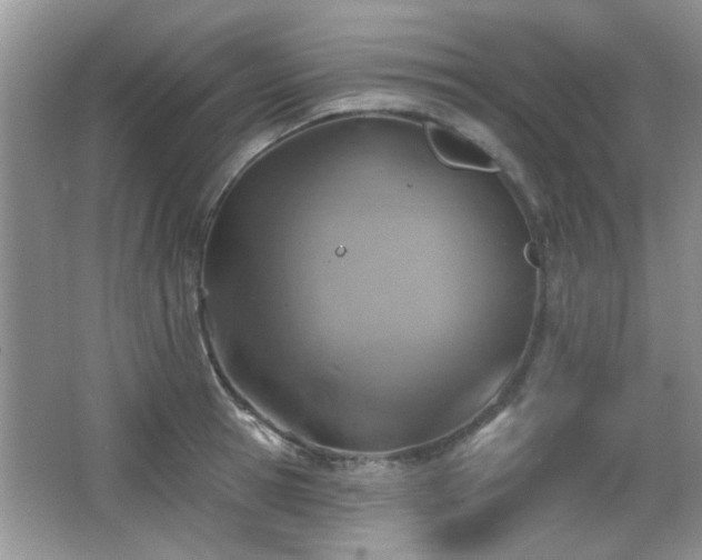 X0000065970945200603031125