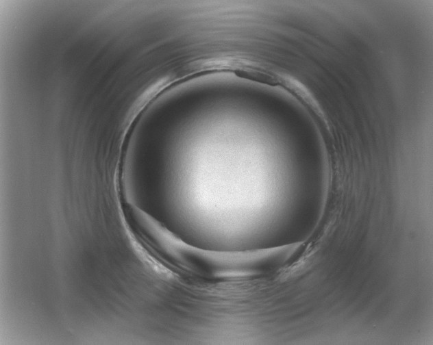 X0000065970946200603031125