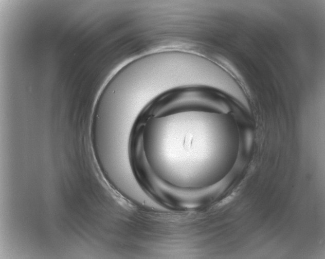 X0000065970948200603031125