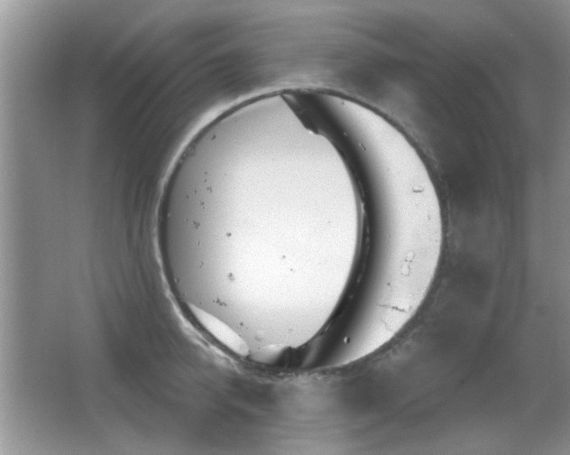 X0000065970950200603031125