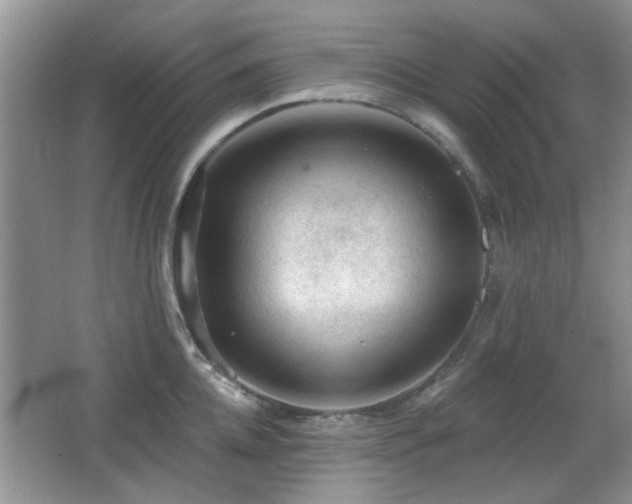 X0000065970952200603031125