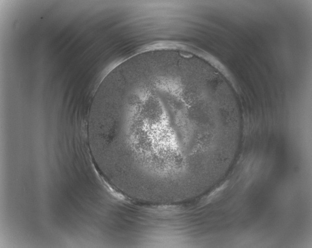 X0000065970953200603031125