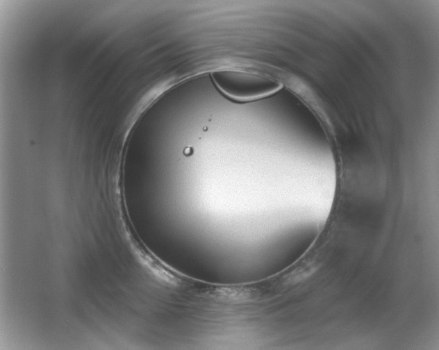 X0000065970954200603031125