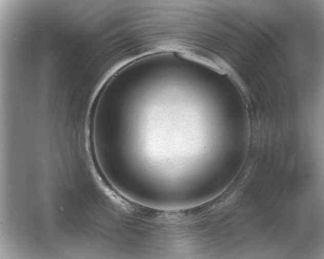 X0000065970955200603031125