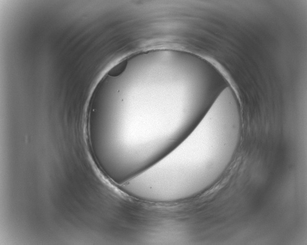 X0000065970957200603031125