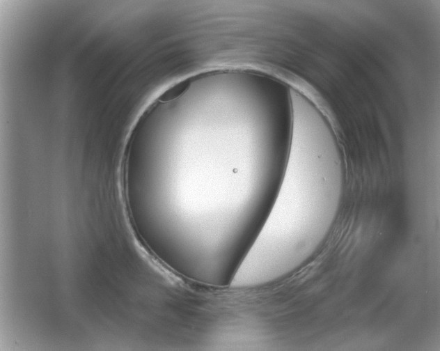 X0000065970958200603031125