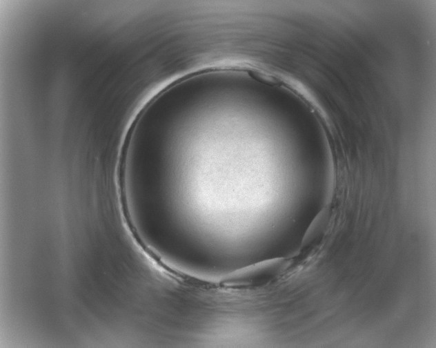 X0000065970959200603031125