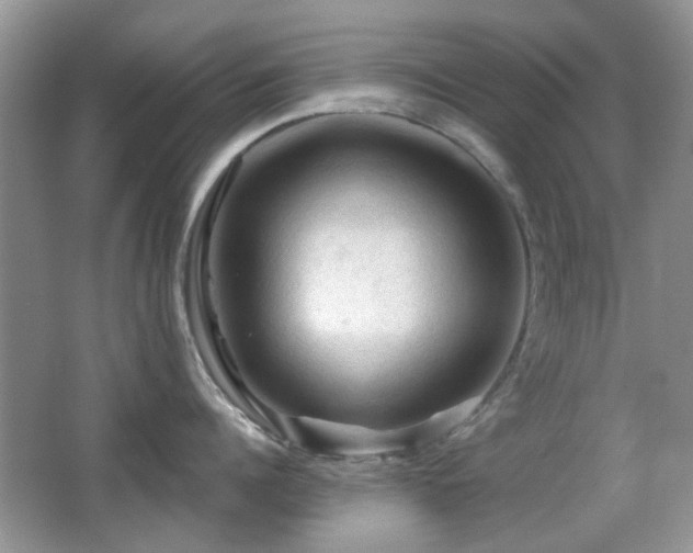 X0000065970960200603031125