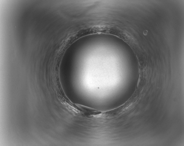 X0000065970961200603031124