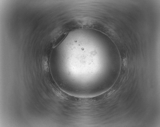 X0000065970963200603031124