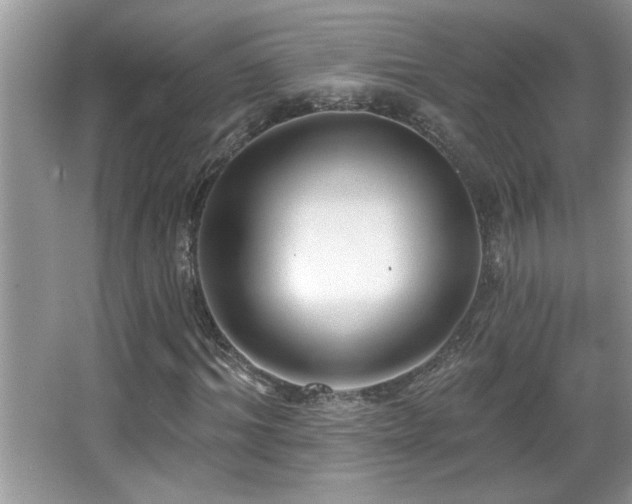 X0000065970964200603031124