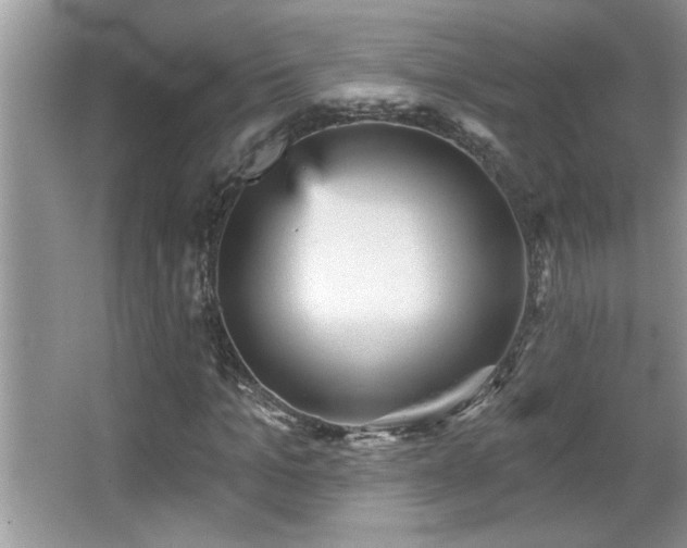 X0000065970965200603031124