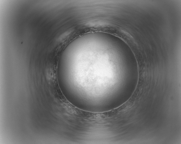 X0000065970966200603031124