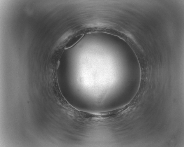 X0000065970967200603031124