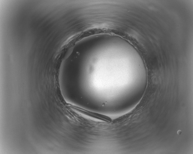 X0000065970968200603031124