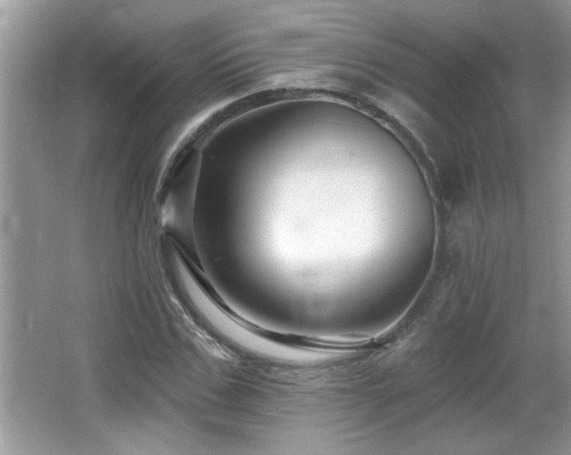 X0000065970971200603031124