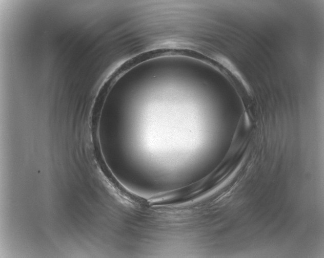 X0000065970972200603031124