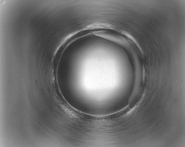 X0000065970973200603031124