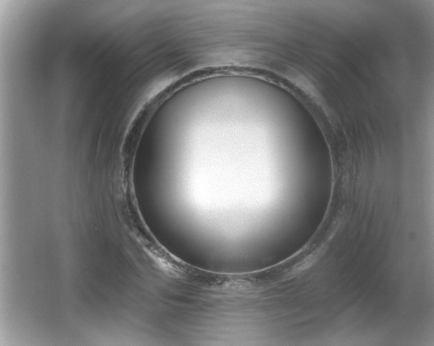 X0000065970974200603031124