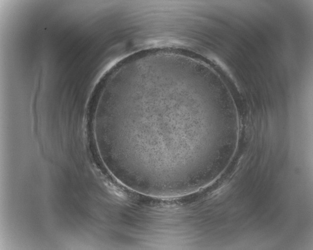 X0000065970975200603031124