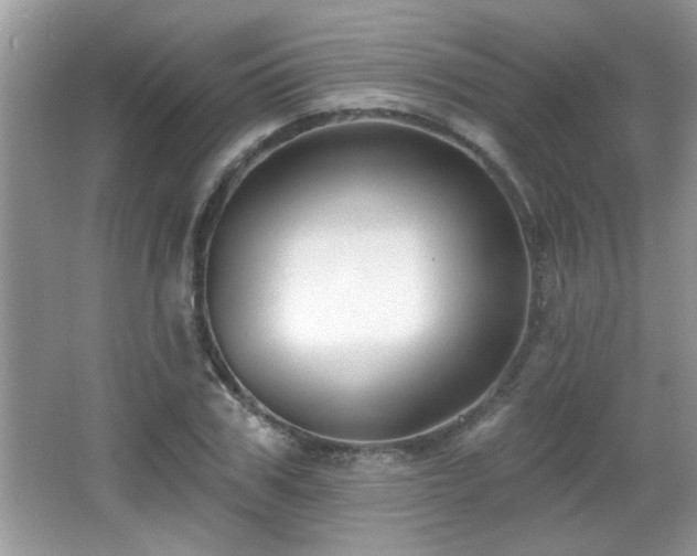 X0000065970979200603031124