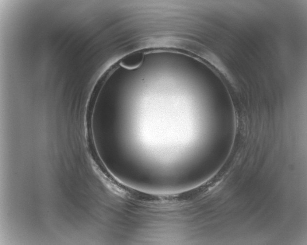 X0000065970980200603031124