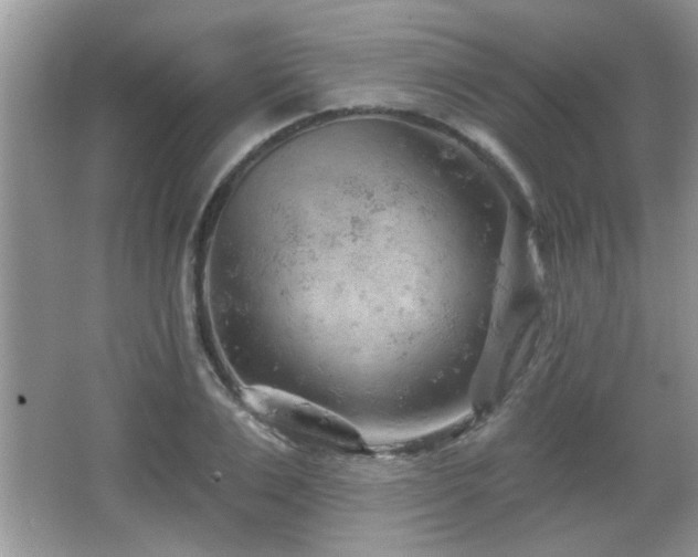 X0000065970983200603031124