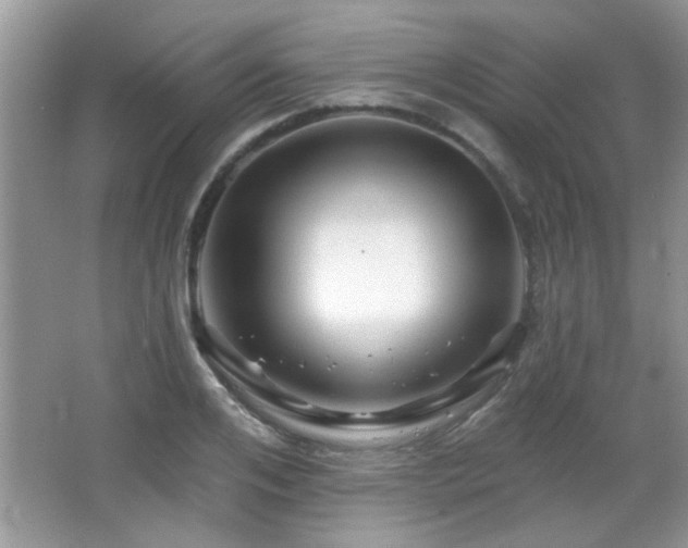 X0000065970984200603031124