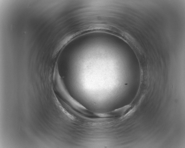 X0000065970985200603031124