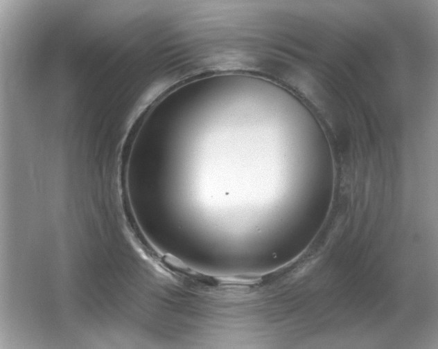 X0000065970986200603031124