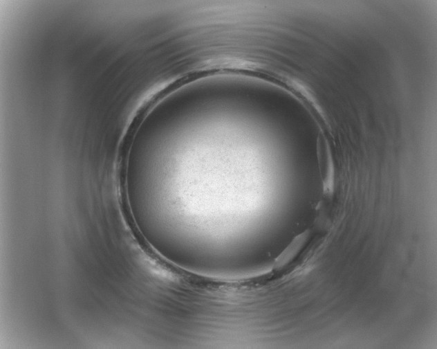 X0000065970987200603031124