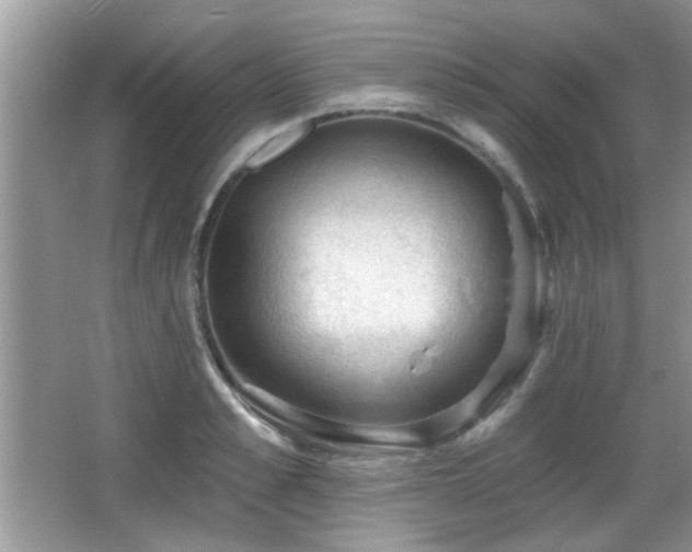 X0000065970989200603031124