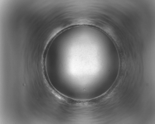 X0000065970990200603031124