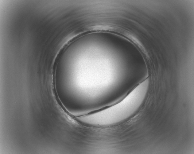 X0000065970992200603031124