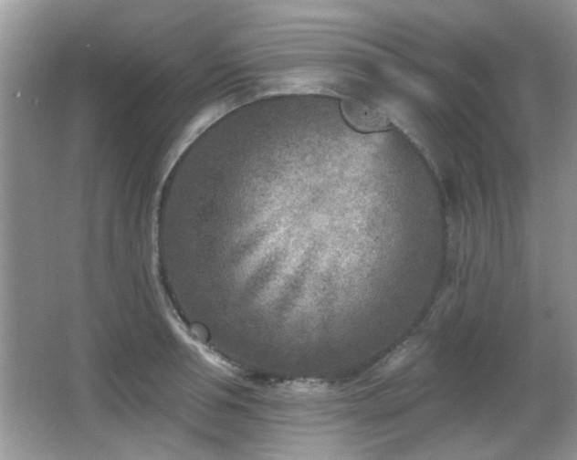 X0000065970994200603031124